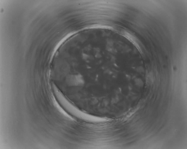 X0000066121092200603171748