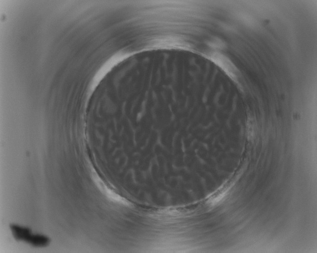 X0000066121094200603171748