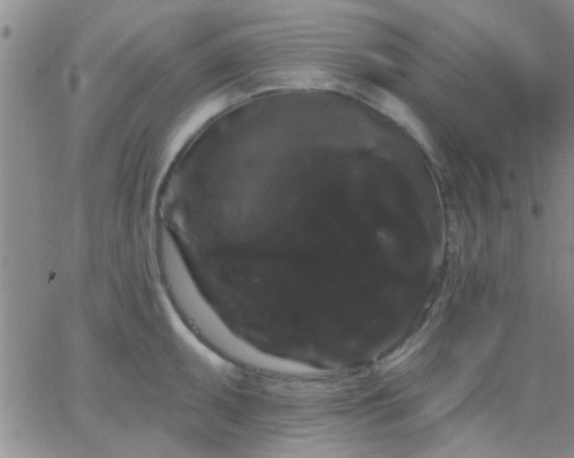 X0000066121095200603171748