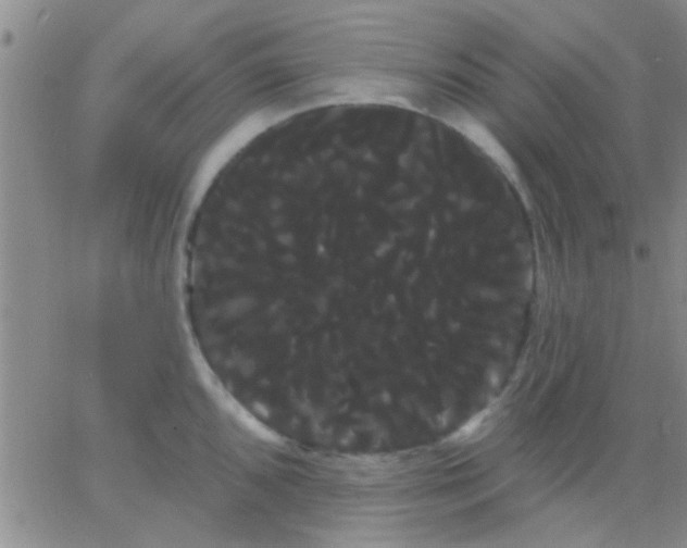 X0000066121096200603171748