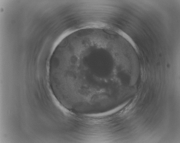 X0000066121099200603171748