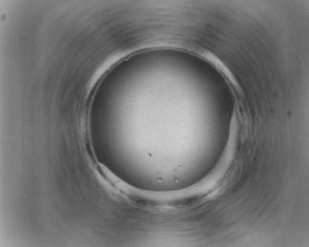 X0000066121101200603171747