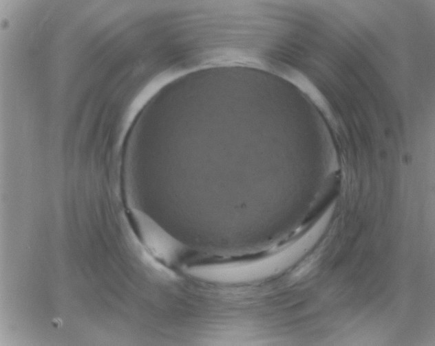 X0000066121102200603171747