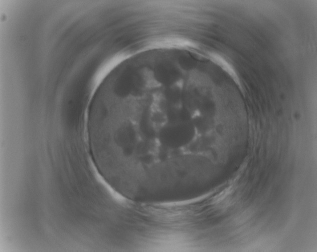 X0000066121103200603171747