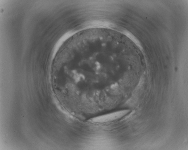 X0000066121104200603171747