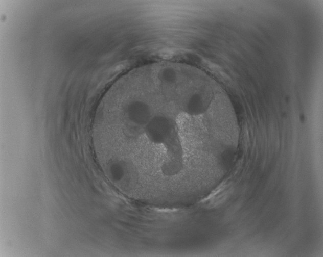 X0000066121105200603171747