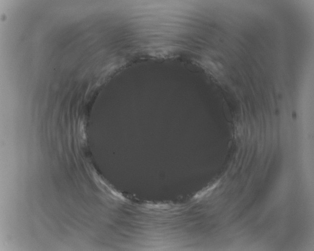 X0000066121106200603171747