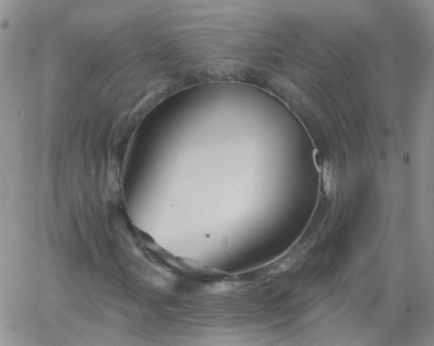 X0000066121107200603171747