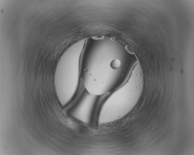 X0000066121108200603171747