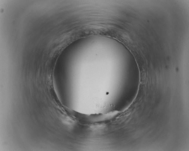 X0000066121109200603171747