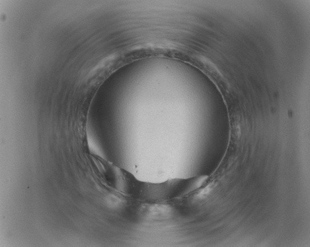 X0000066121110200603171747