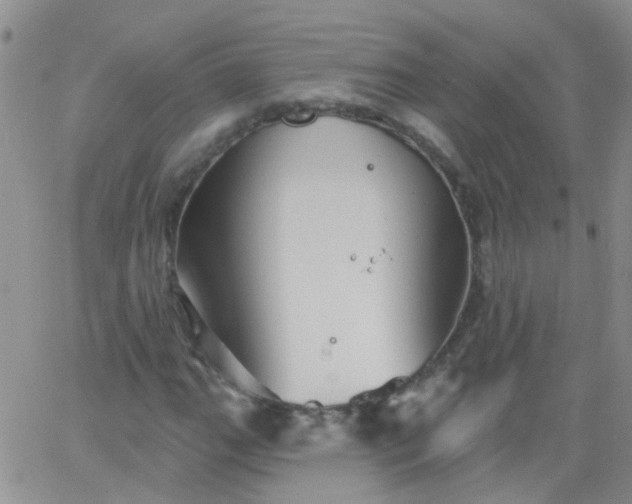 X0000066121111200603171747