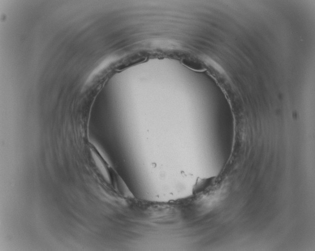 X0000066121112200603171747