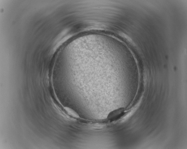 X0000066121113200603171747