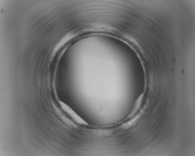 X0000066121114200603171747