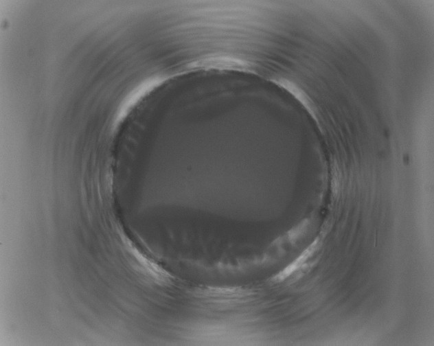 X0000066121115200603171747