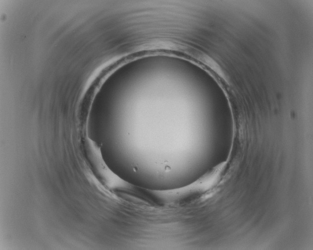 X0000066121116200603171747