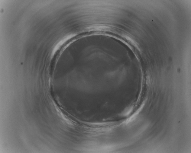 X0000066121117200603171747