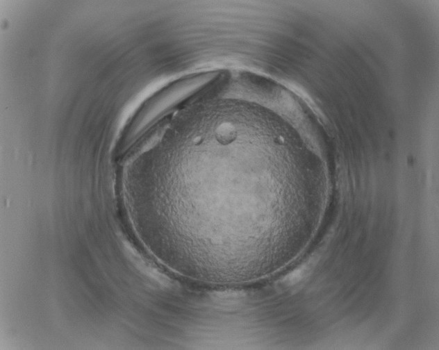 X0000066121118200603171747