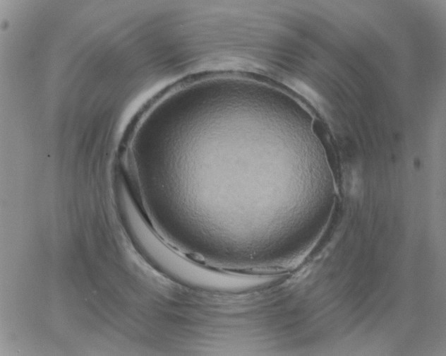 X0000066121120200603171747