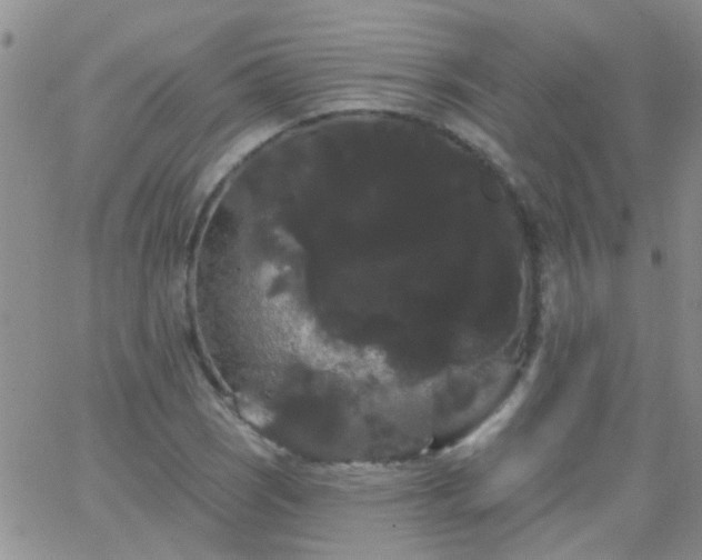 X0000066121121200603171747