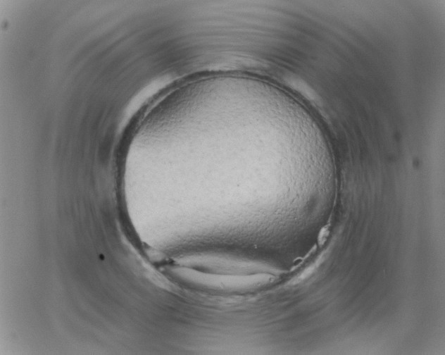 X0000066121122200603171747