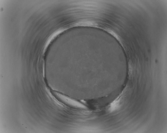 X0000066121123200603171747