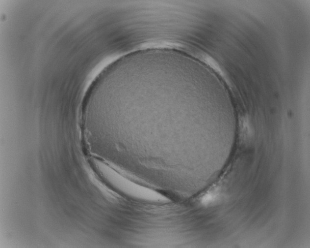 X0000066121124200603171747