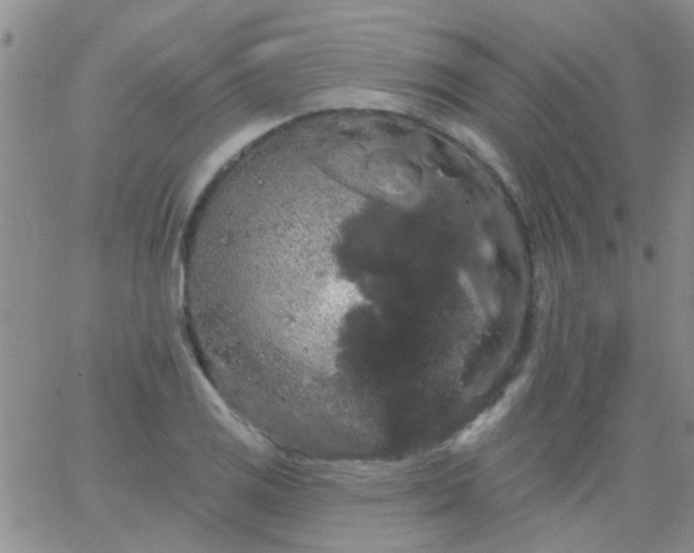 X0000066121125200603171747