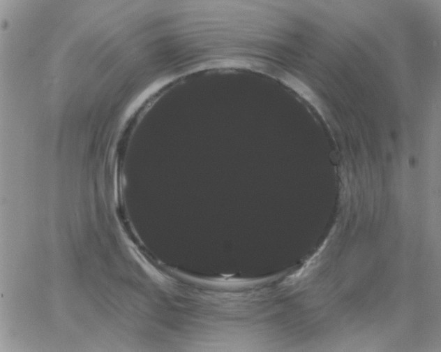 X0000066121127200603171747