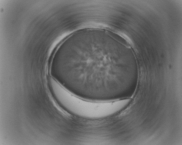 X0000066121128200603171747