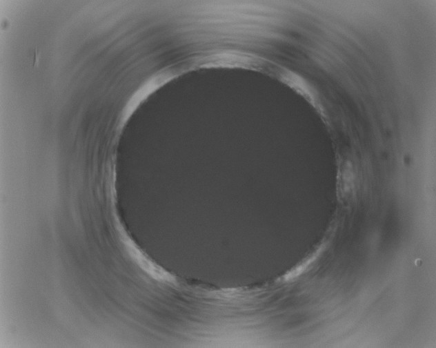 X0000066121130200603171747