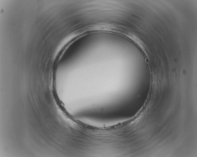 X0000066121131200603171747