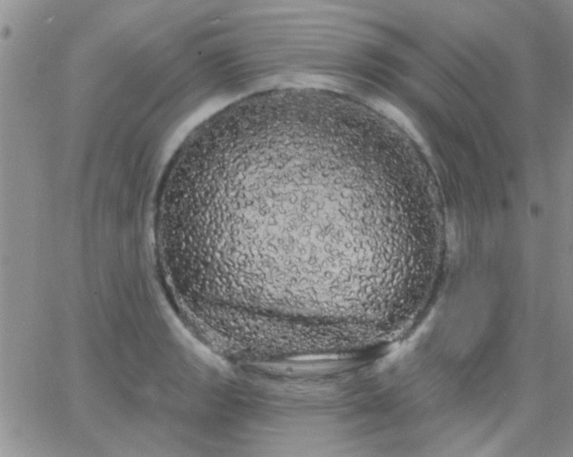 X0000066121133200603171747