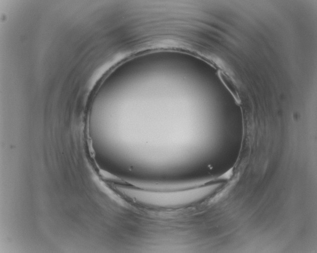 X0000066121134200603171747