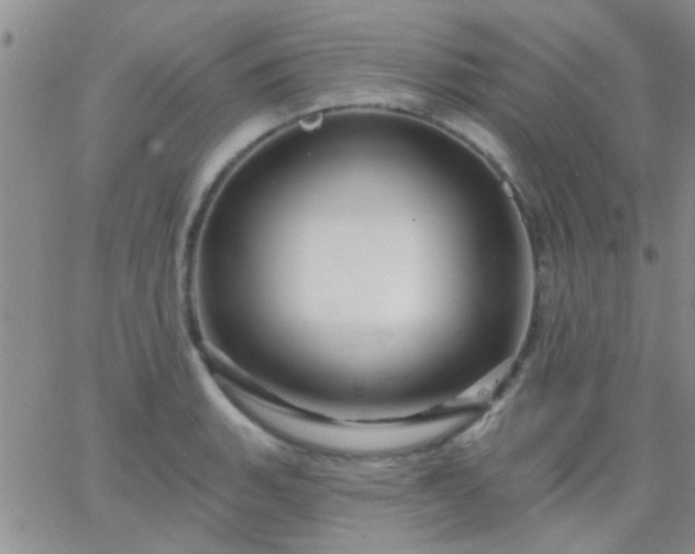 X0000066121135200603171747