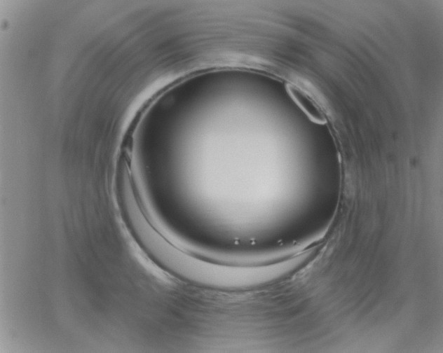 X0000066121136200603171747