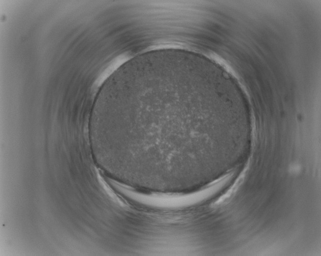 X0000066121137200603171747