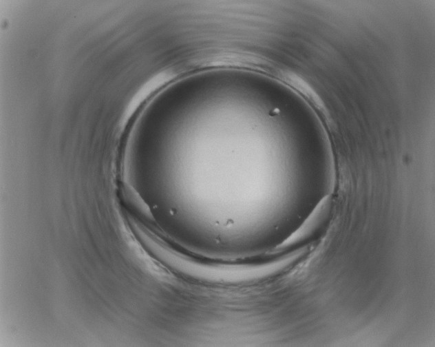 X0000066121138200603171747