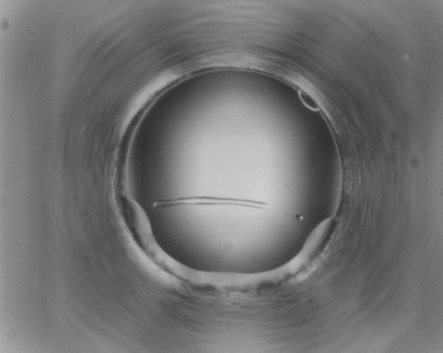 X0000066121139200603171747