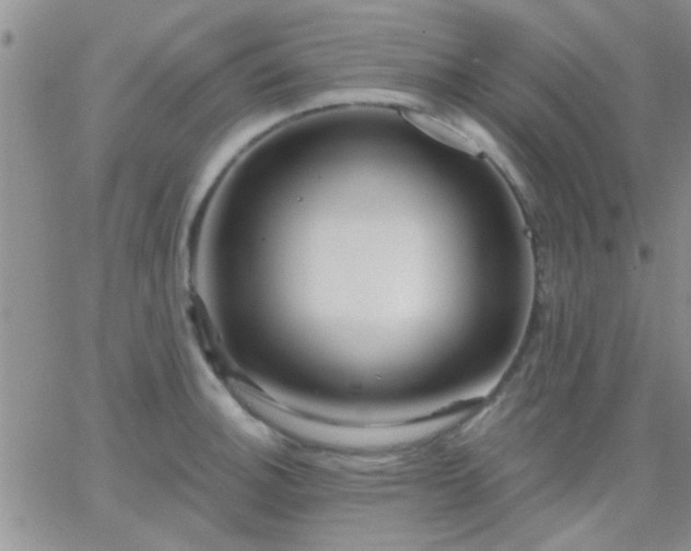 X0000066121140200603171747