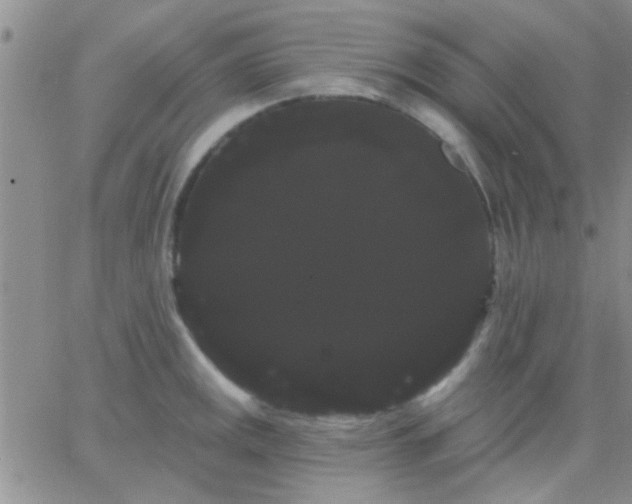 X0000066121141200603171747