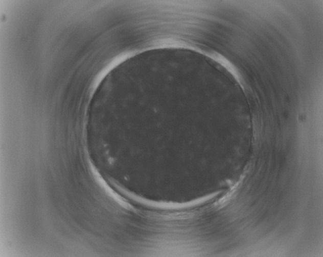 X0000066121142200603171747