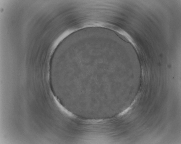 X0000066121143200603171747