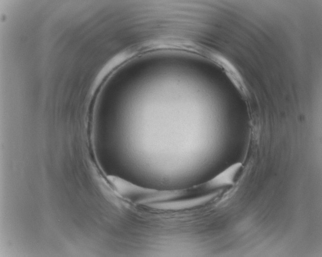 X0000066121146200603171747