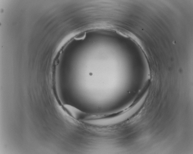 X0000066121147200603171747