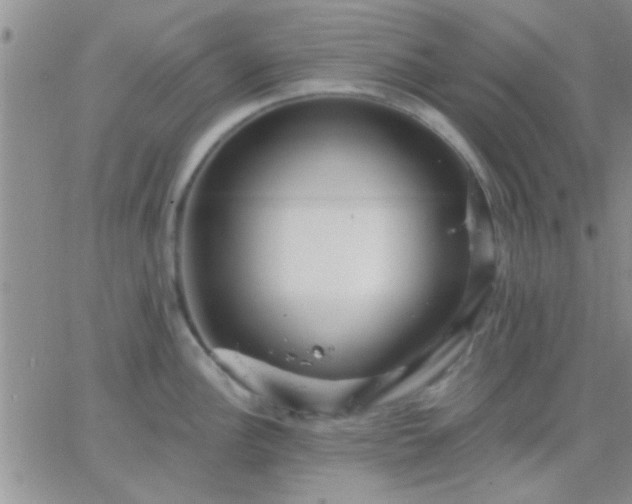 X0000066121148200603171747