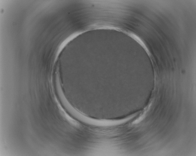 X0000066121149200603171747