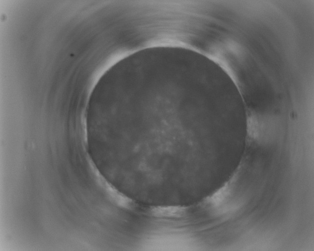 X0000066121150200603171747