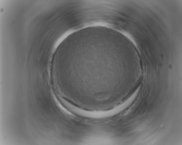 X0000066121151200603171747